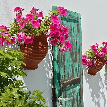 Villa Anna Maria Aliki  Exterior photo